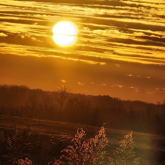 Meet your Posher, Crissy - Picture 8 of 15